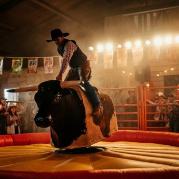 Generate,Me,A,Visual,With,A,Mechanical,Bull,Show Generate,Me,A,Visual,With,A,Mechanical,Bull,Show